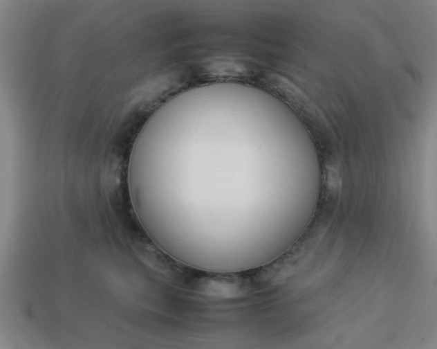 X0000113780567200910071226