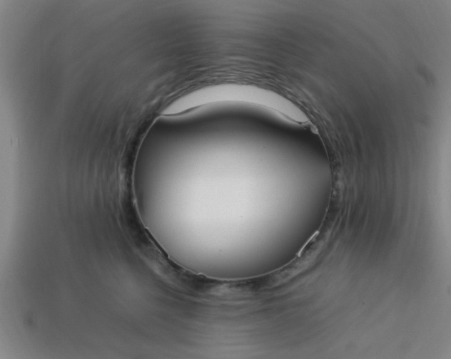 X0000113780568200910071226