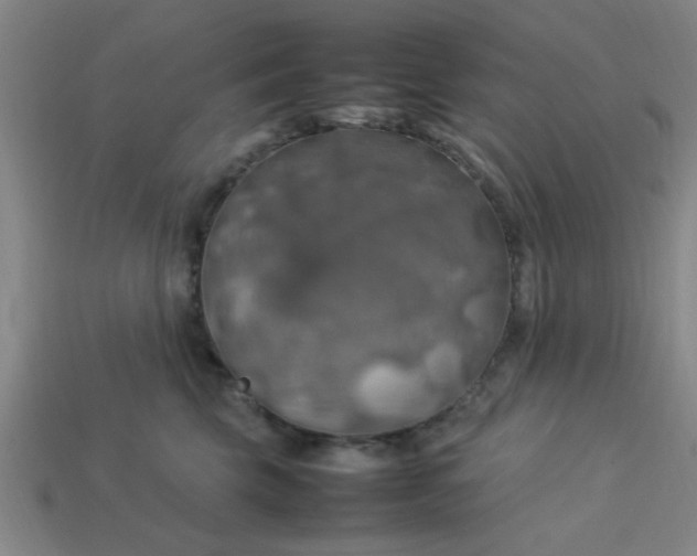 X0000113780569200910071226