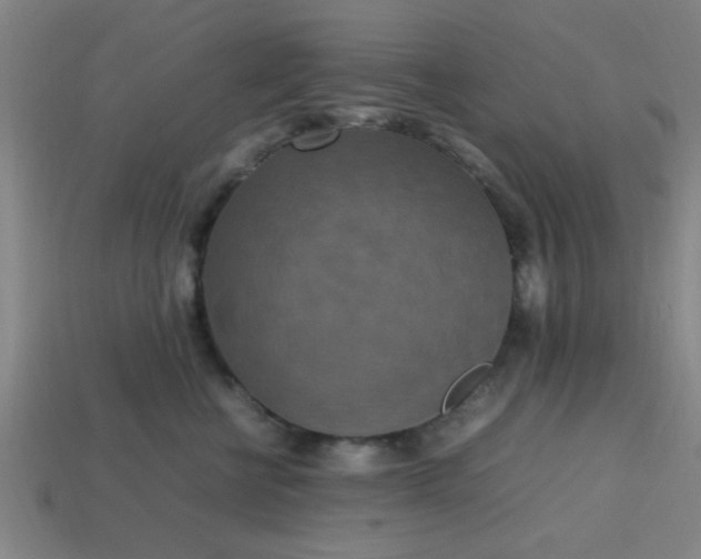 X0000113780570200910071226