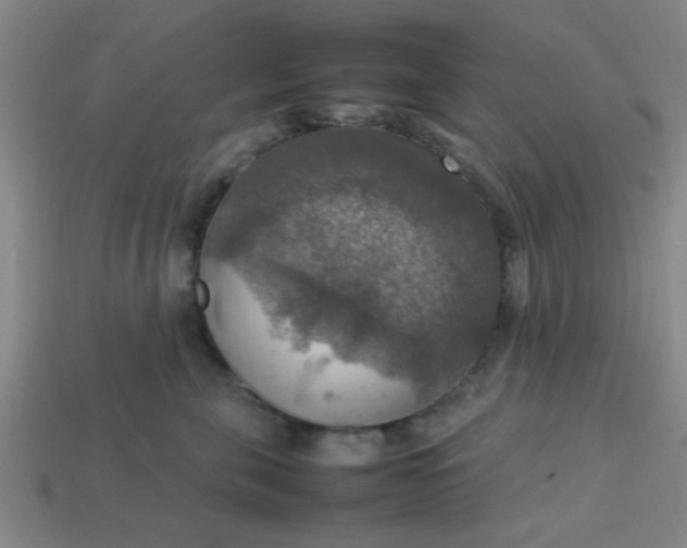 X0000113780571200910071226