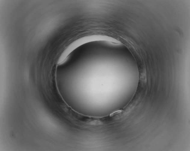 X0000113780572200910071226