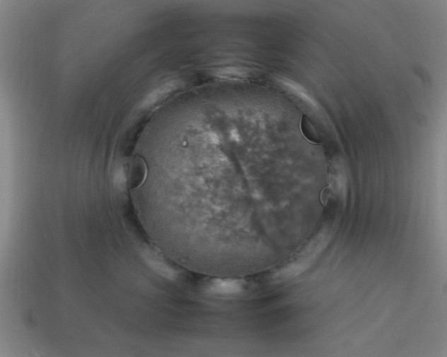 X0000113780573200910071226