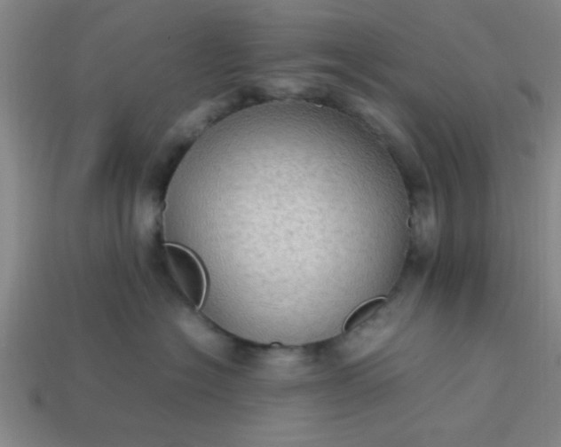 X0000113780574200910071226