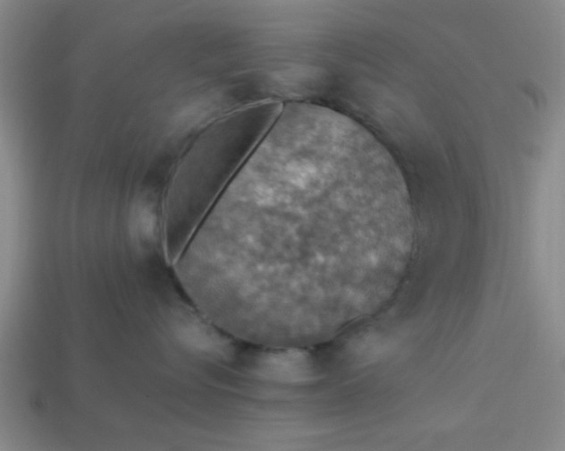 X0000113780576200910071226