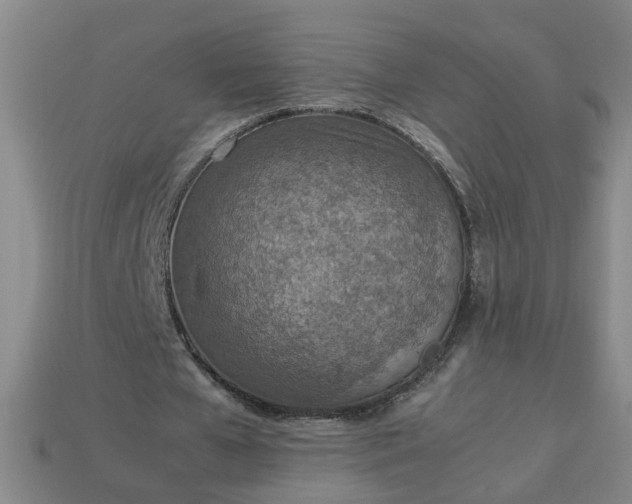 X0000113780577200910071226