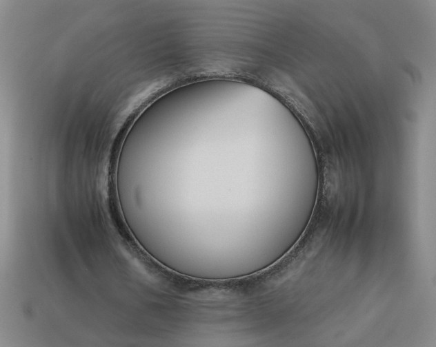 X0000113780578200910071226