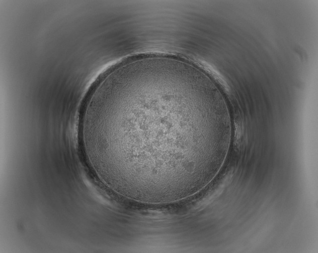 X0000113780580200910071226