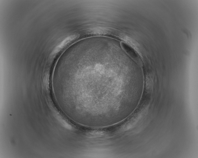 X0000113780581200910071225