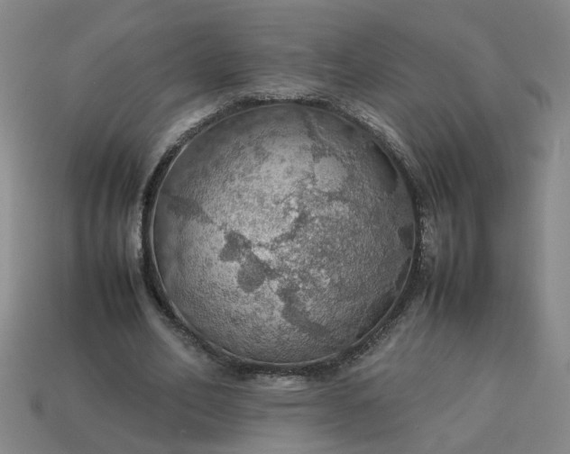 X0000113780582200910071225