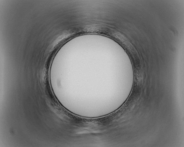 X0000113780583200910071225