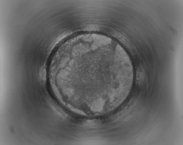 X0000113780584200910071225