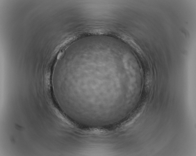 X0000113780585200910071225