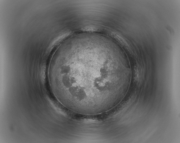 X0000113780586200910071225