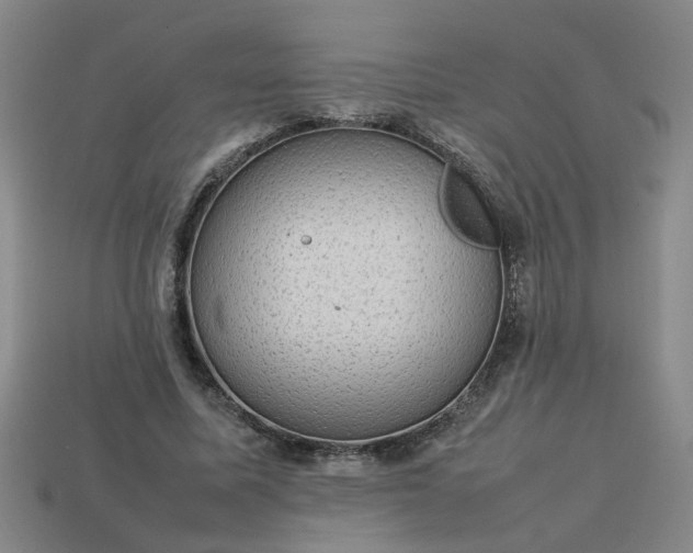 X0000113780587200910071225