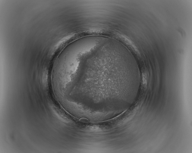 X0000113780588200910071225