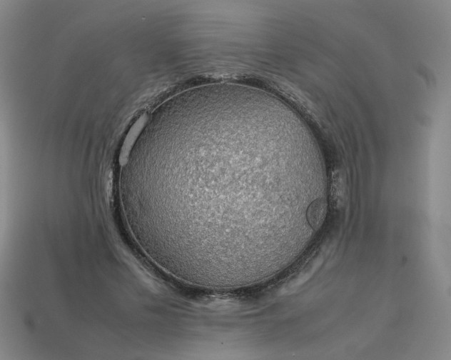 X0000113780589200910071225