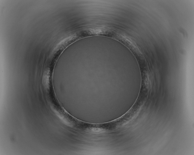 X0000113780590200910071225