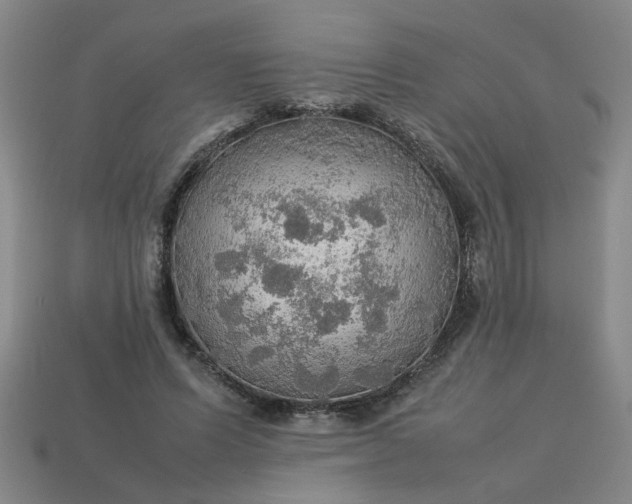 X0000113780591200910071225