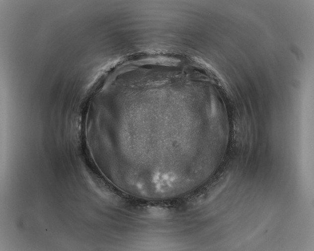 X0000113780592200910071225