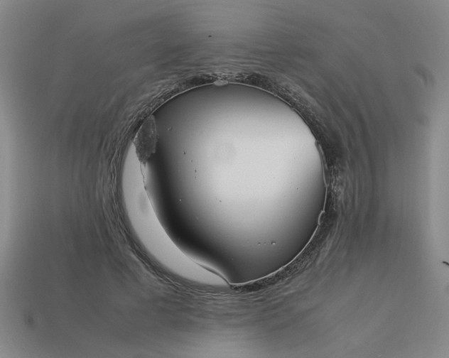 X0000113780593200910071225