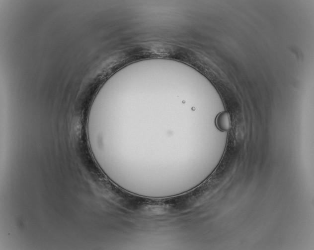 X0000113780595200910071225