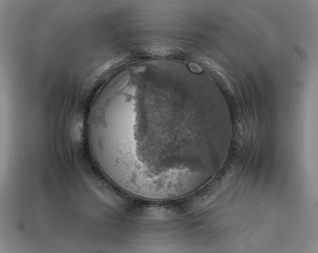 X0000113780596200910071225