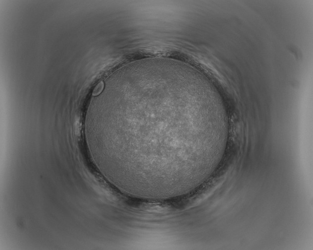 X0000113780597200910071225