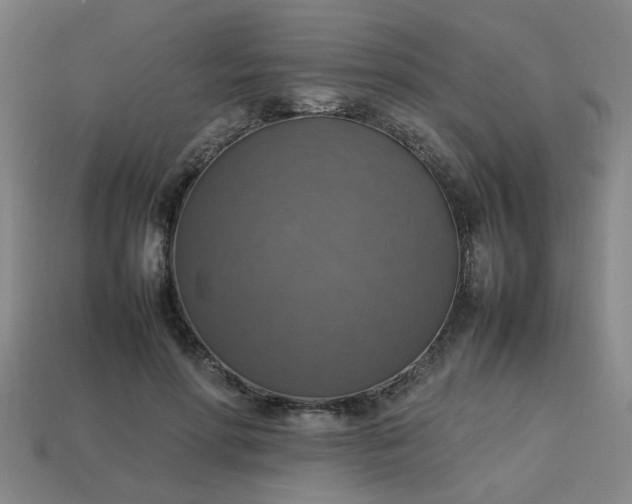 X0000113780598200910071225