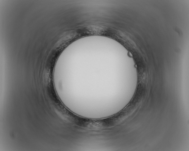 X0000113780599200910071225