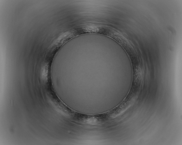 X0000113780600200910071225