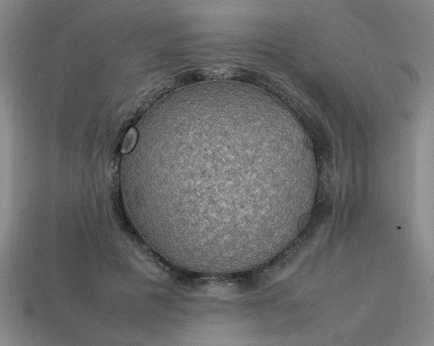 X0000113780601200910071225