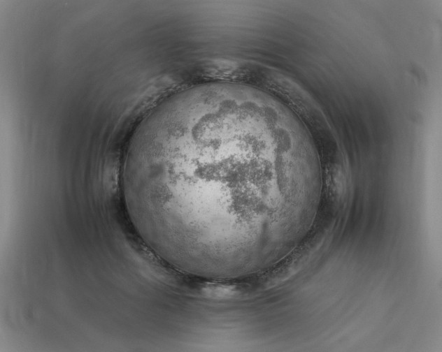 X0000113780602200910071225