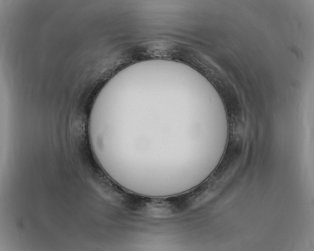 X0000113780603200910071225