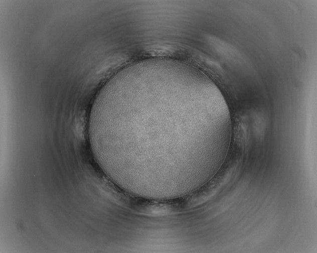 X0000113780604200910071225