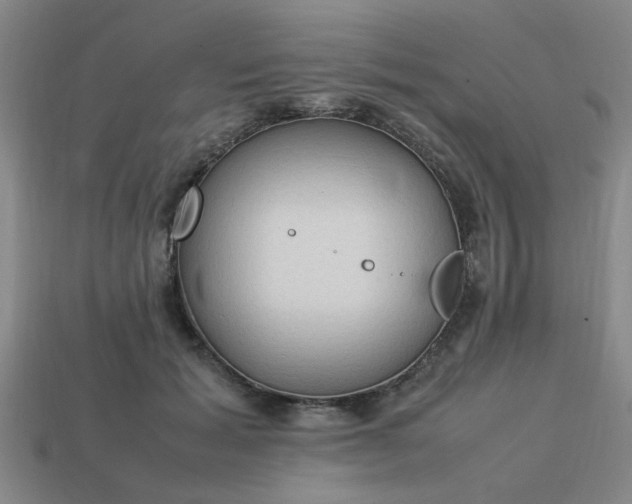 X0000113780605200910071225