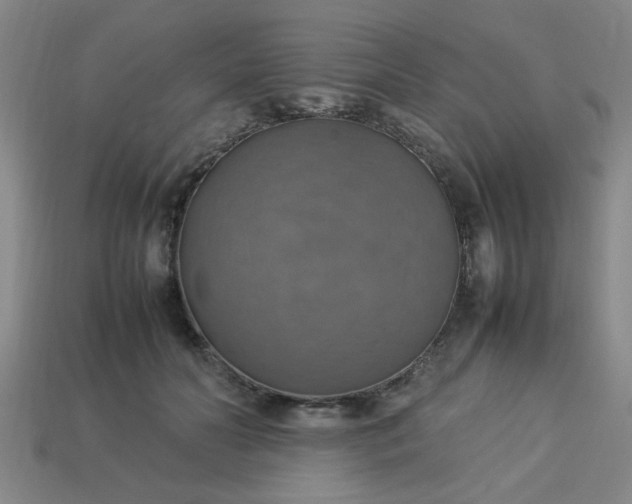 X0000113780606200910071225