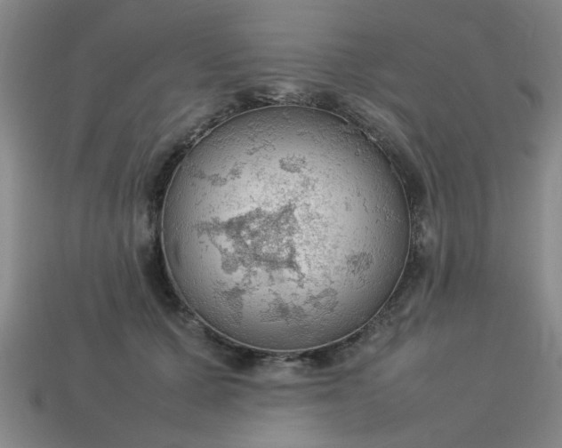 X0000113780607200910071225