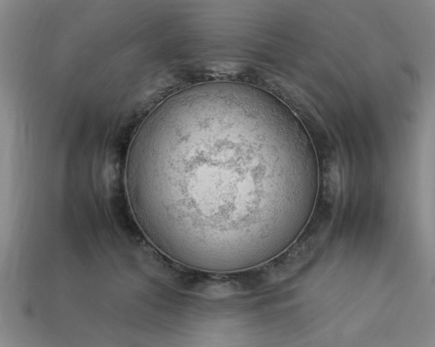 X0000113780608200910071225