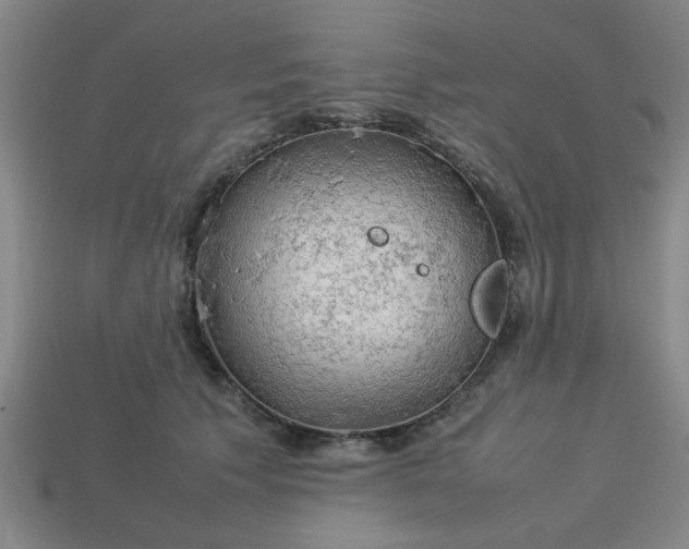 X0000113780609200910071225