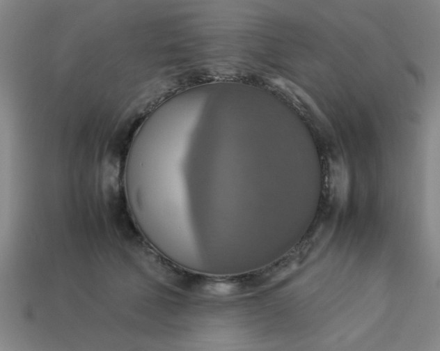 X0000113780610200910071225