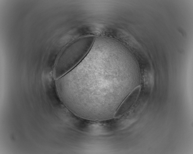 X0000113780611200910071225