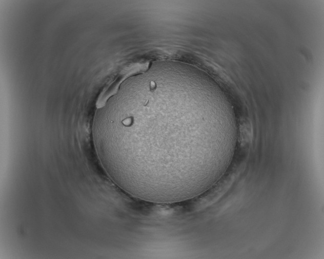 X0000113780613200910071225