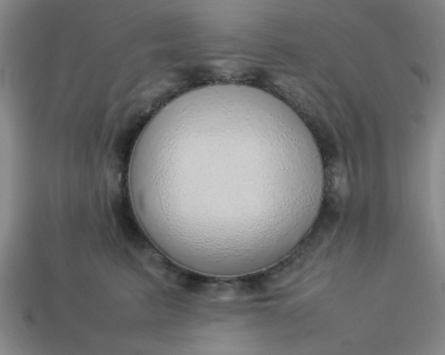 X0000113780615200910071225