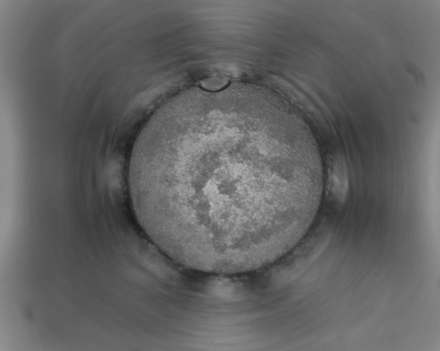 X0000113780616200910071225