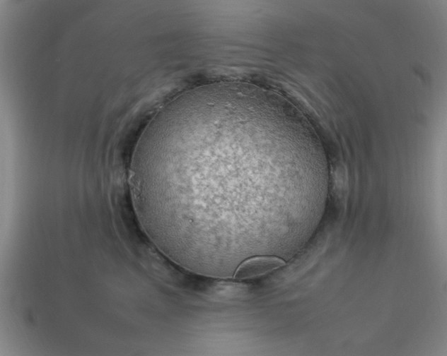 X0000113780617200910071225