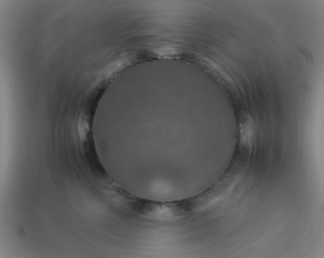 X0000113780618200910071225