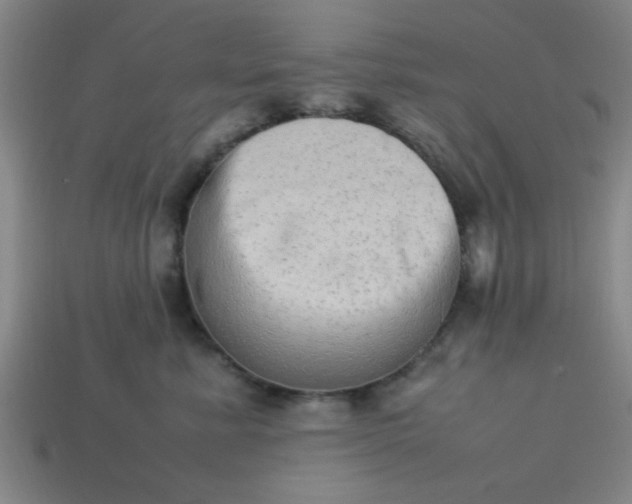 X0000113780619200910071225