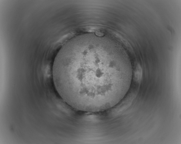 X0000113780620200910071225