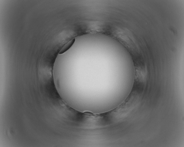 X0000113780621200910071225